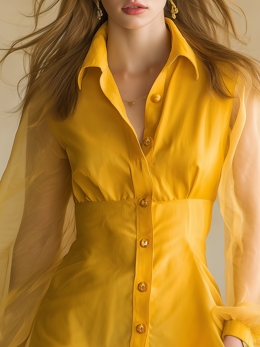 Stylish And Elegant Mini Shirt Dress