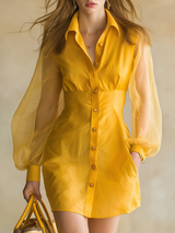 Stylish And Elegant Mini Shirt Dress