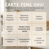Arbre de Vie 7 Chakras sur Pyramide - Équilibre Énergétique - Biloria