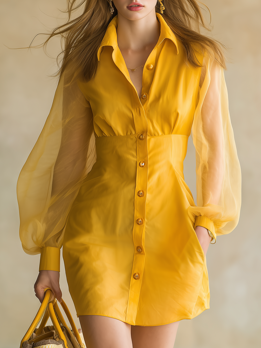 Stylish And Elegant Mini Shirt Dress