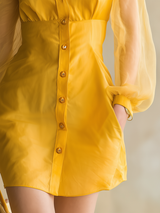 Stylish And Elegant Mini Shirt Dress